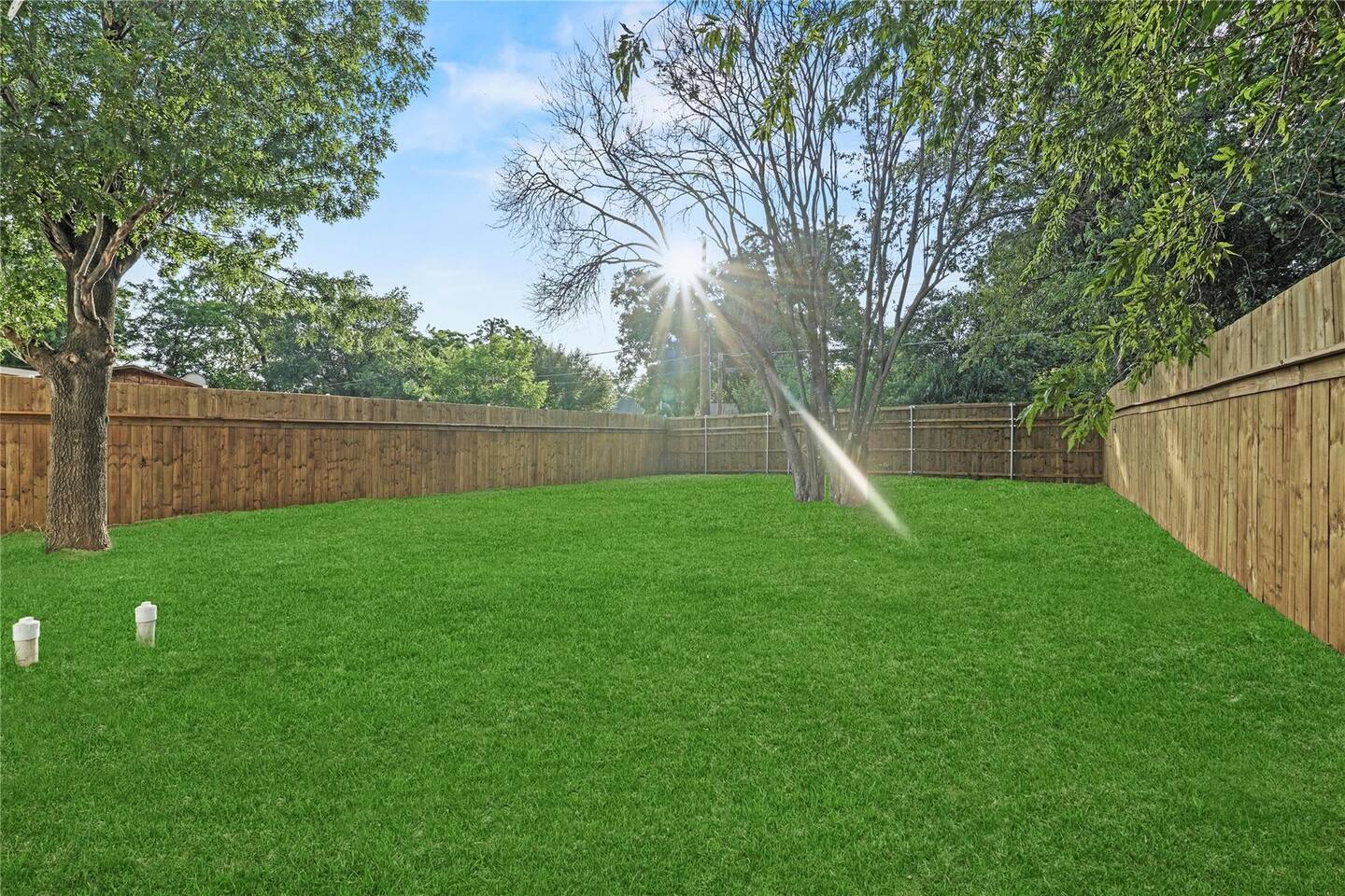 Private fenced backyard at golden hour